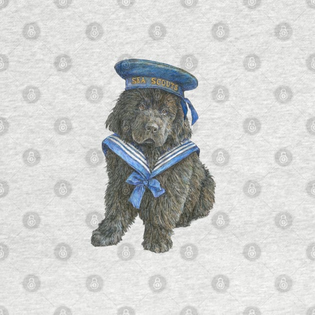 Newfoundland Puppy in blue Sea Scout hat by Prairie Dog Print